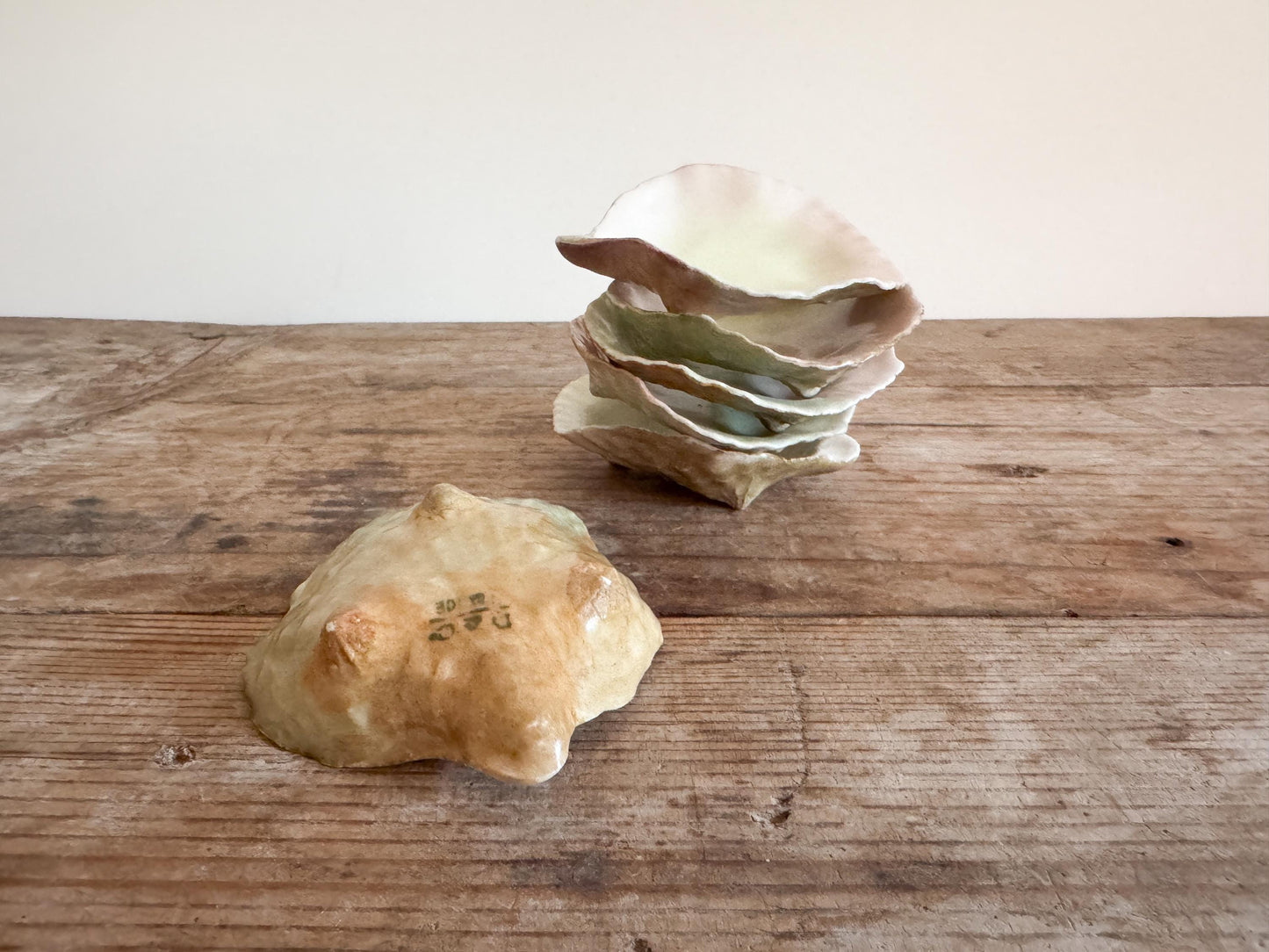 D&C Limoges Oyster Shell Dishes Ceramic China Set of 6 Rare