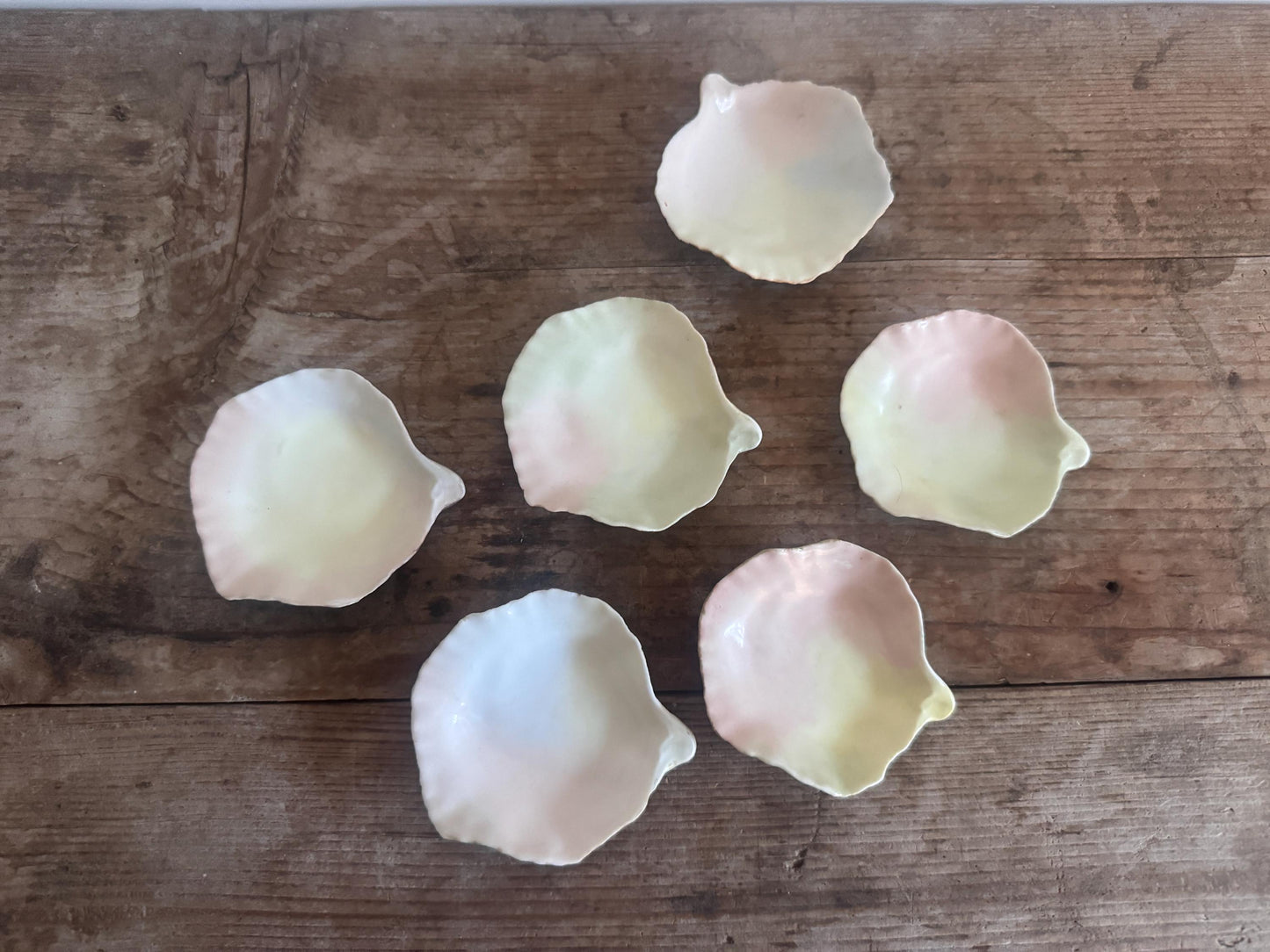 D&C Limoges Oyster Shell Dishes Ceramic China Set of 6 Rare