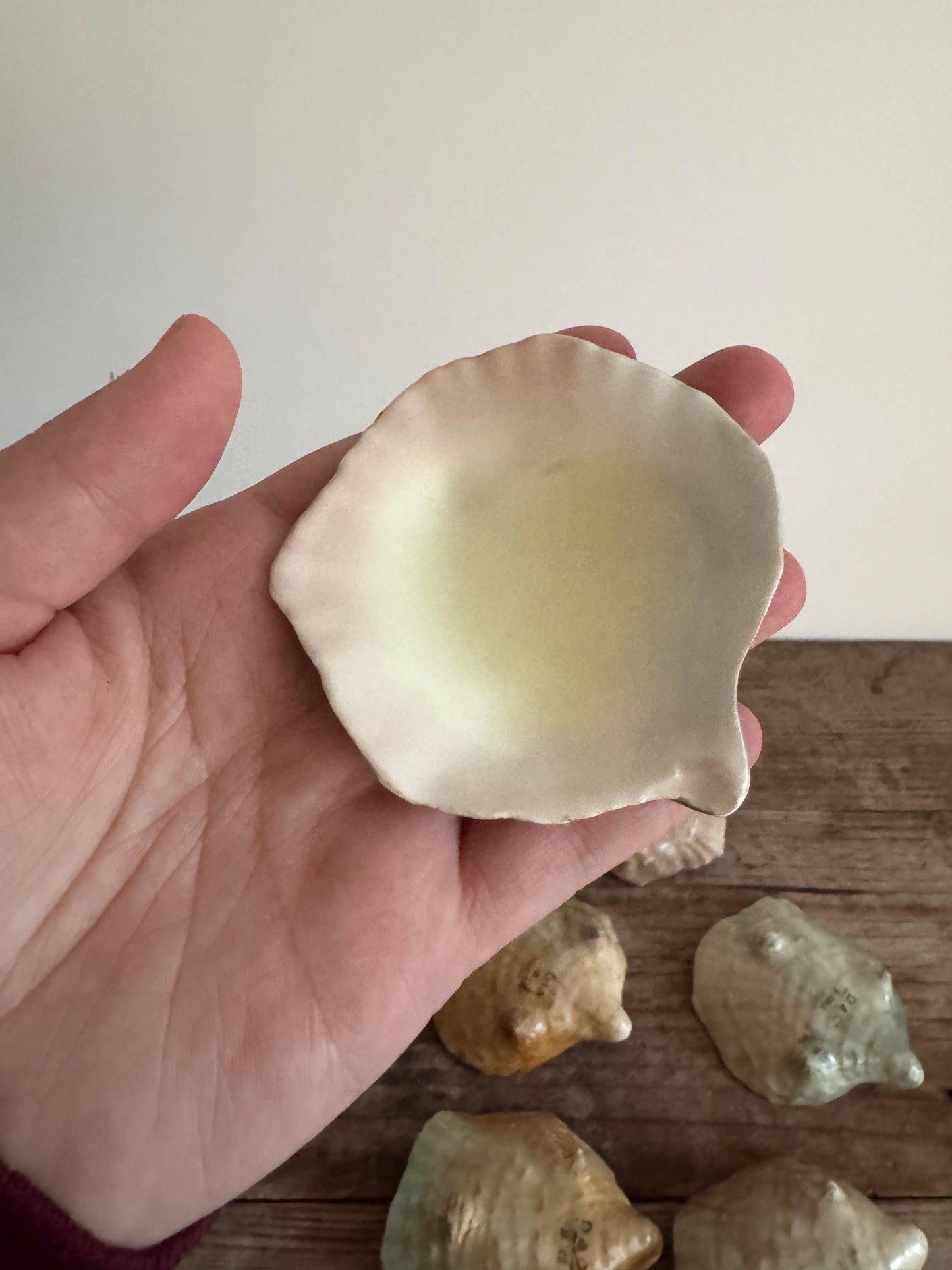 D&C Limoges Oyster Shell Dishes Ceramic China Set of 6 Rare