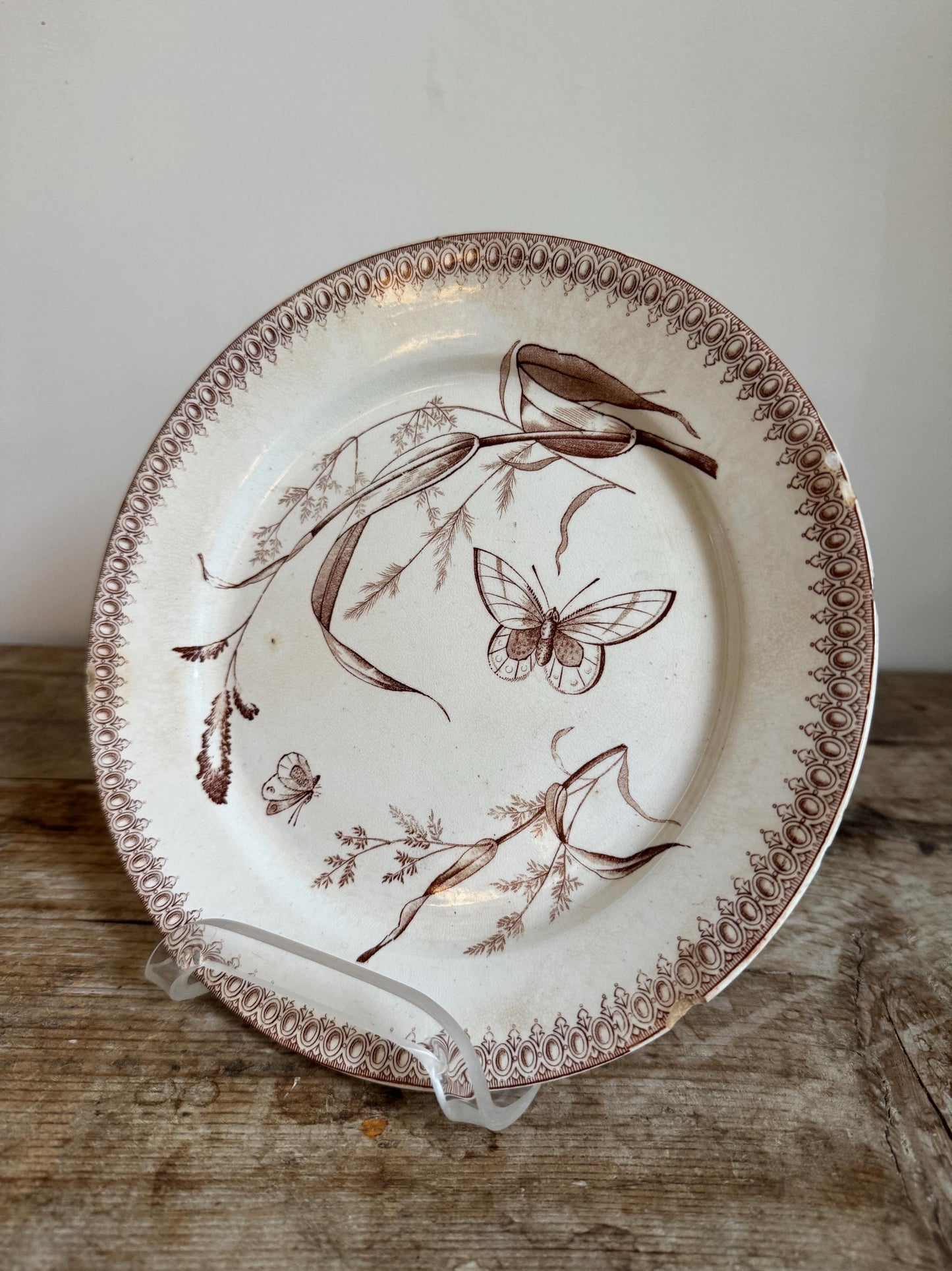T&R Boote Antique Summer Time Brown Ironstone Plate Transferware Dinner