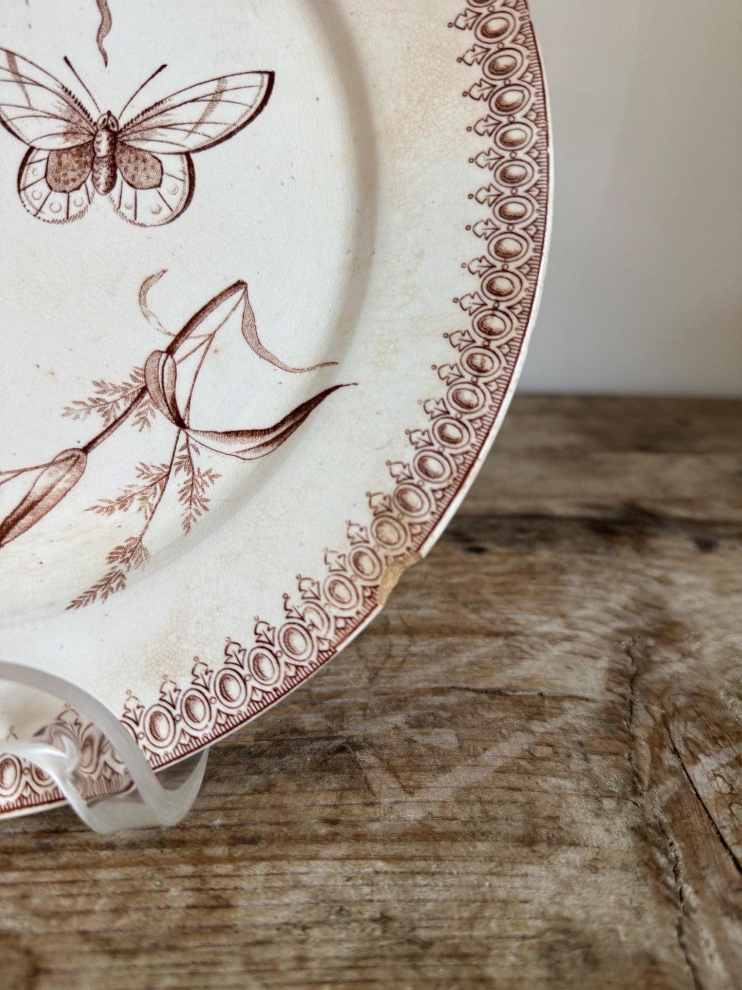 T&R Boote Antique Summer Time Brown Ironstone Plate Transferware Dinner