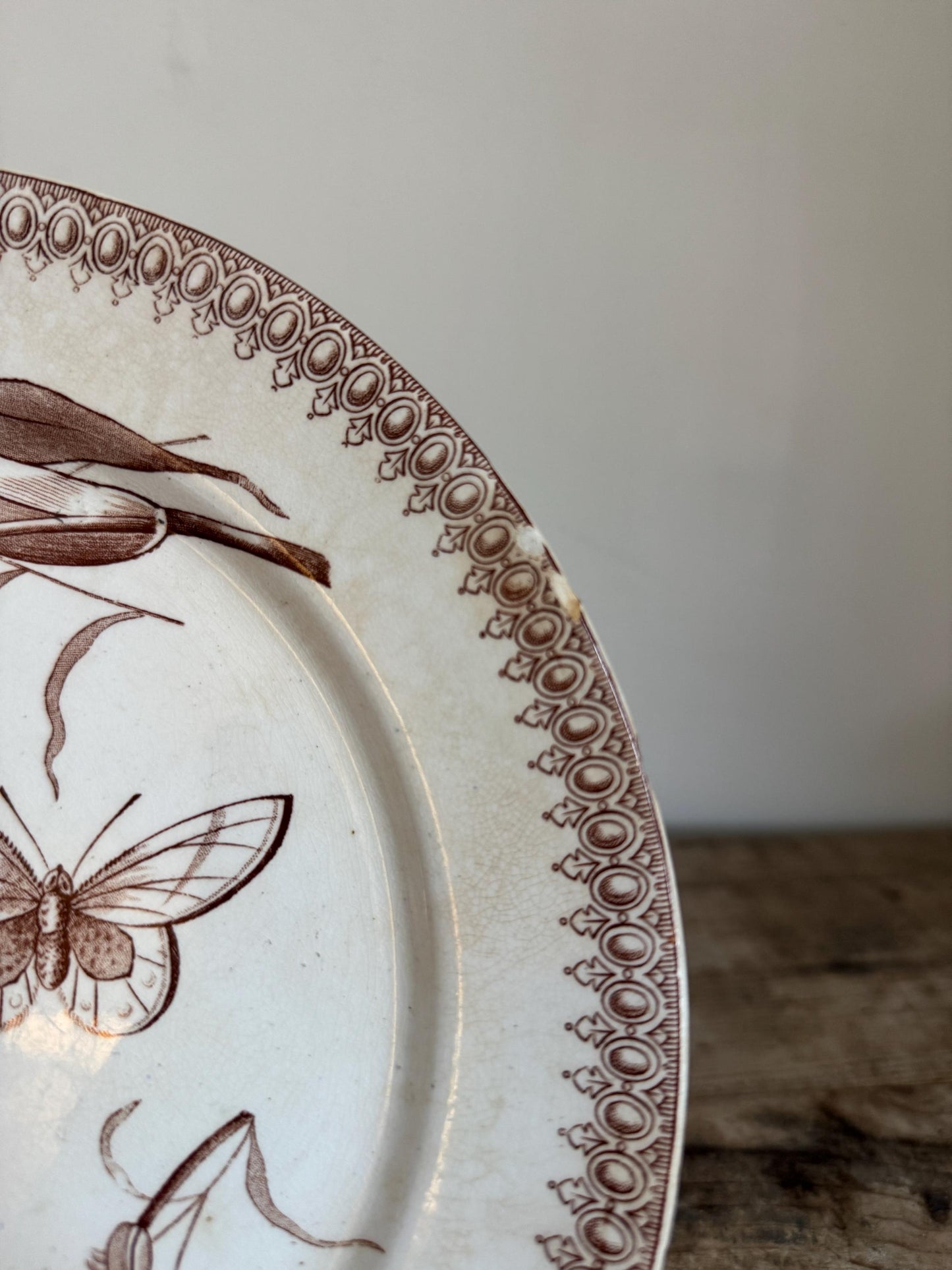 T&R Boote Antique Summer Time Brown Ironstone Plate Transferware Dinner