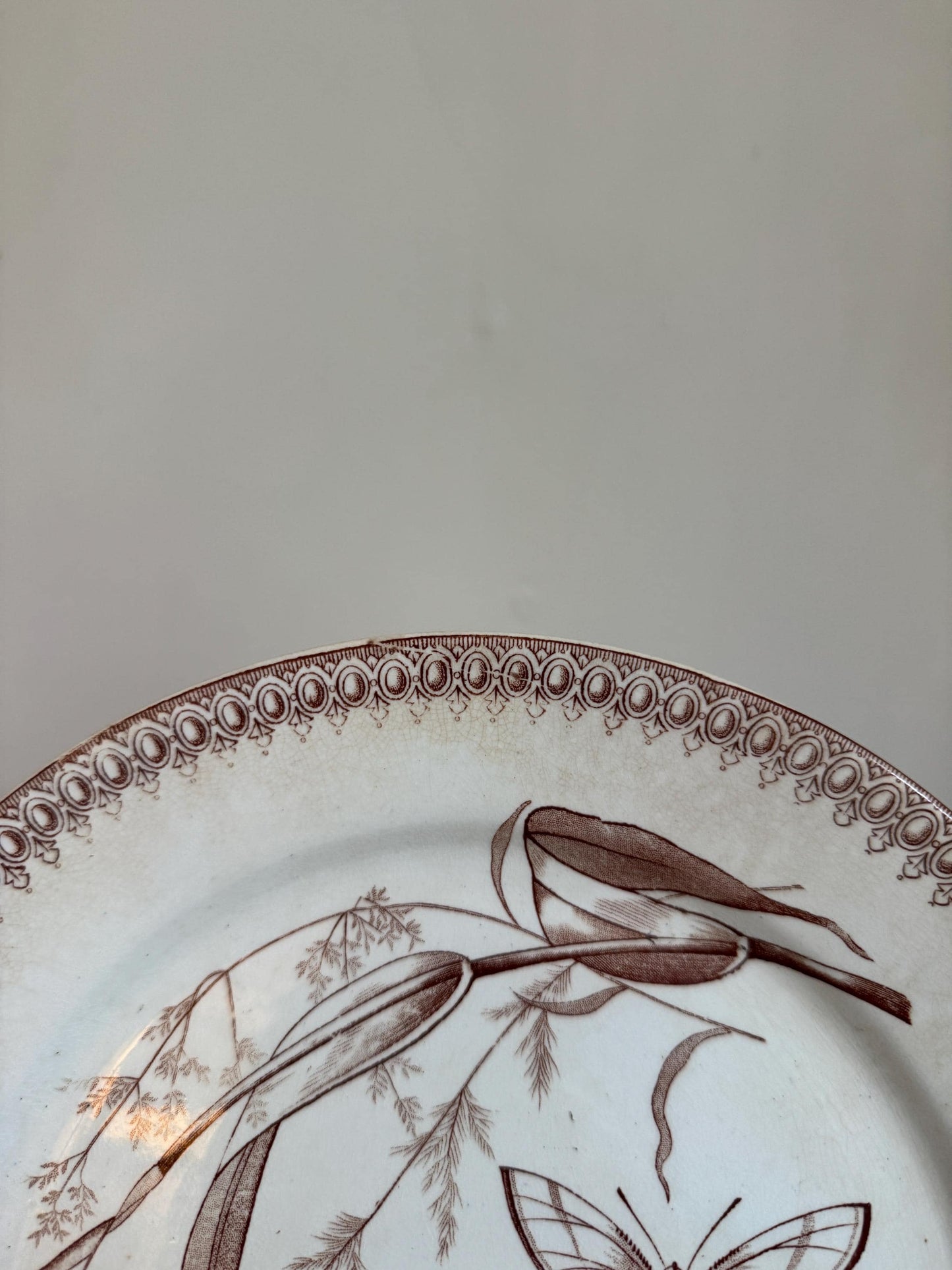 T&R Boote Antique Summer Time Brown Ironstone Plate Transferware Dinner