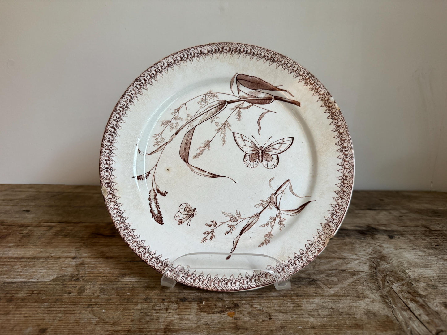 T&R Boote Antique Summer Time Brown Ironstone Plate Transferware Dinner