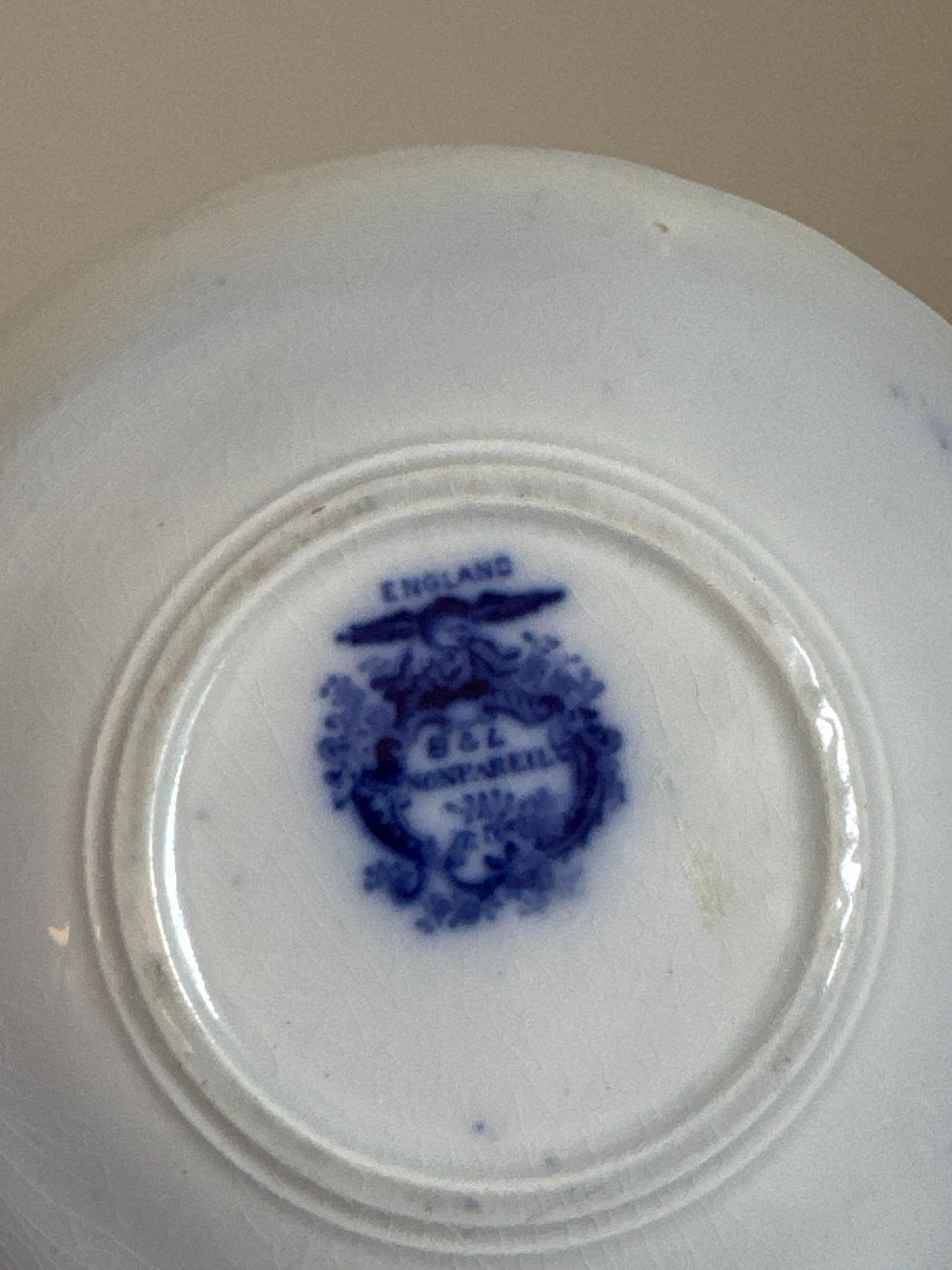 Antique Burgess & Leigh Nonpareil Pattern England Staffordshire Victorian 6" Saucer