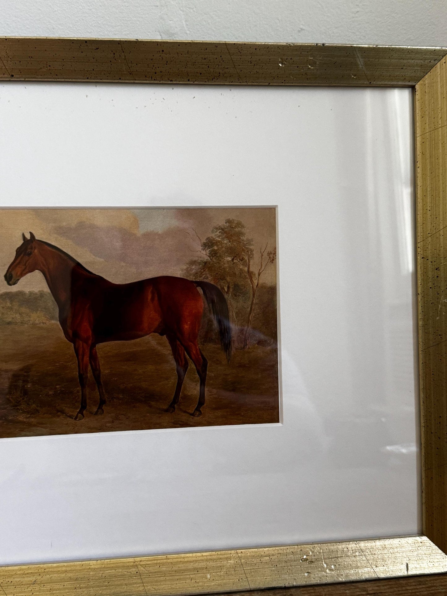 Framed Vintage Champagne Gold Frame Mat Horse Equestian Giclee Print Wall Art 12x15