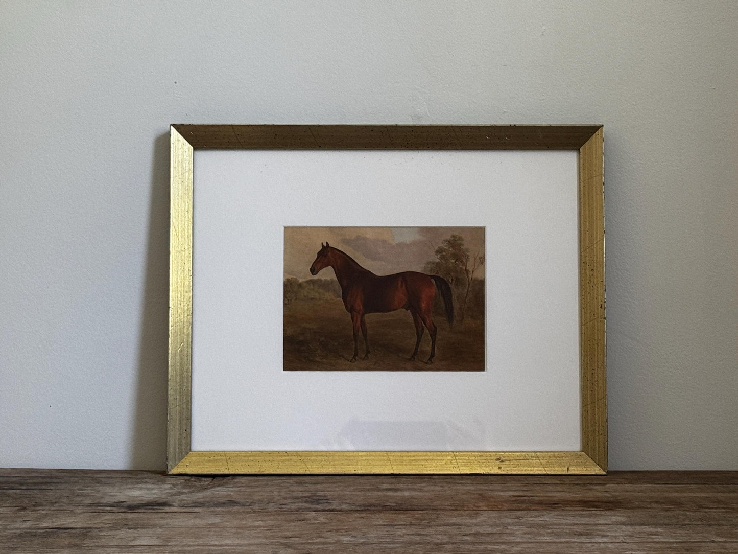Framed Vintage Champagne Gold Frame Mat Horse Equestian Giclee Print Wall Art 12x15