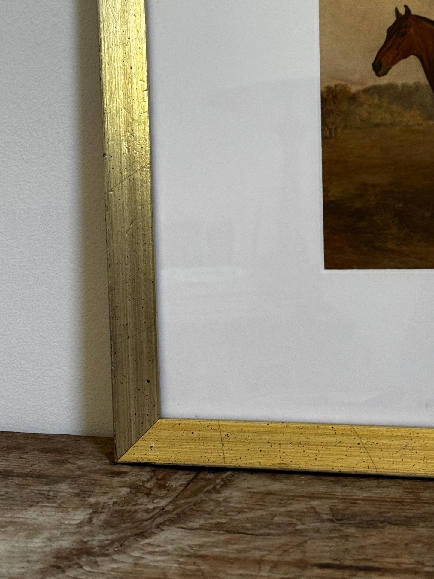 Framed Vintage Champagne Gold Frame Mat Horse Equestian Giclee Print Wall Art 12x15