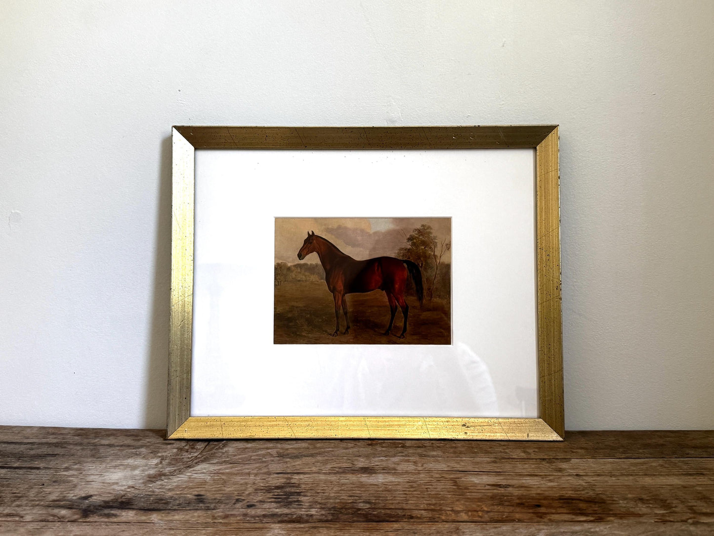 Framed Vintage Champagne Gold Frame Mat Horse Equestian Giclee Print Wall Art 12x15