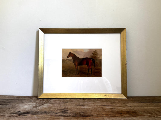 Framed Vintage Champagne Gold Frame Mat Horse Equestian Giclee Print Wall Art 12x15